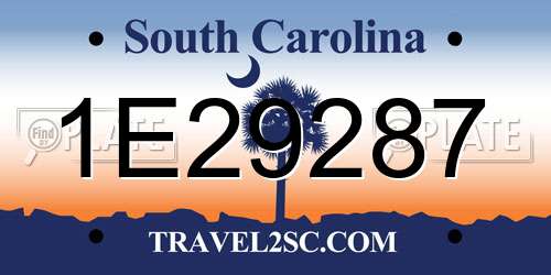 1E29287 South Carolina License Plate