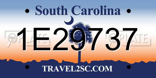 1E29737 South Carolina License Plate