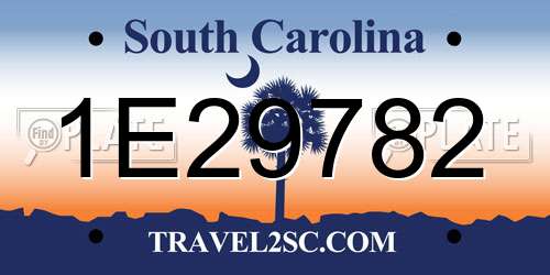 1E29782 South Carolina License Plate