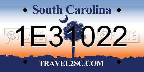 1E31022 South Carolina License Plate