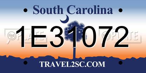 1E31072 South Carolina License Plate