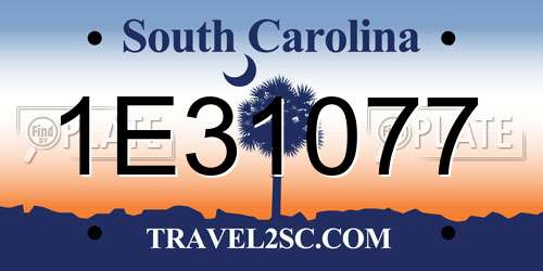 1E31077 South Carolina License Plate