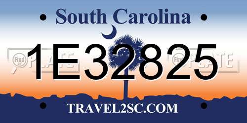 1E32825 South Carolina License Plate