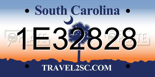 1E32828 South Carolina License Plate