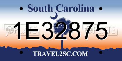 1E32875 South Carolina License Plate