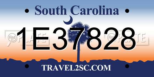 1E37828 South Carolina License Plate