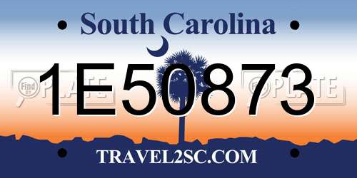 1E50873 South Carolina License Plate