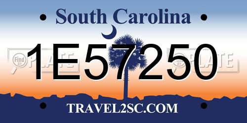 1E57250 South Carolina License Plate
