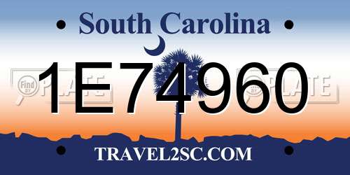 1E74960 South Carolina License Plate