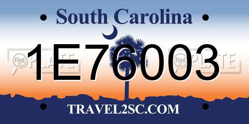 1E76003 South Carolina License Plate