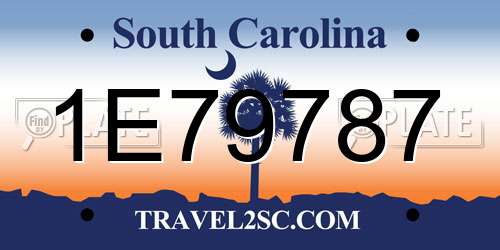 1E79787 South Carolina License Plate