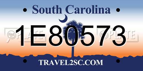 1E80573 South Carolina License Plate