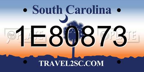 1E80873 South Carolina License Plate