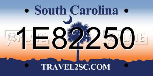 1E82250 South Carolina License Plate