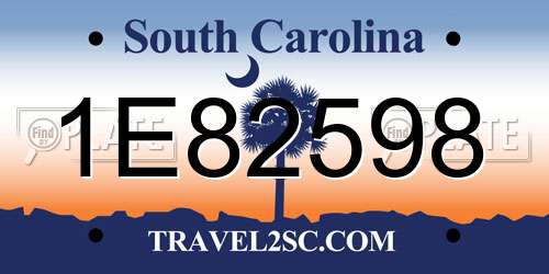 1E82598 South Carolina License Plate