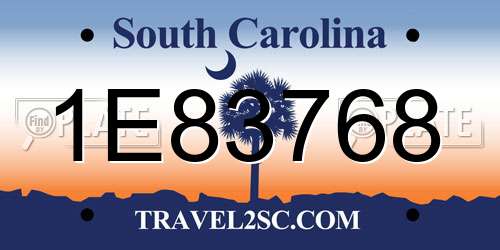 1E83768 South Carolina License Plate