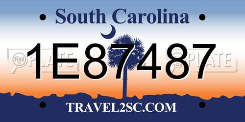1E87487 South Carolina License Plate