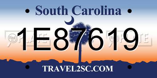 1E87619 South Carolina License Plate