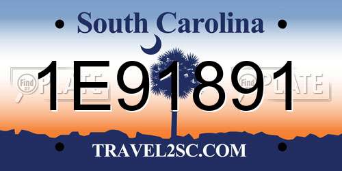 1E91891 South Carolina License Plate