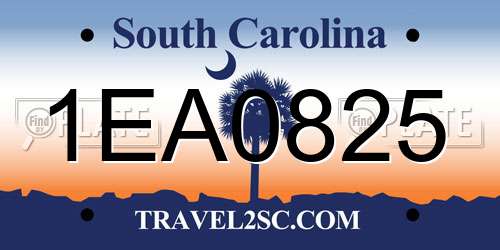 1EA0825 South Carolina License Plate