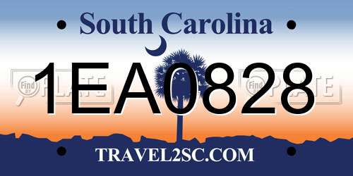 1EA0828 South Carolina License Plate
