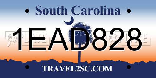 1EAD828 South Carolina License Plate