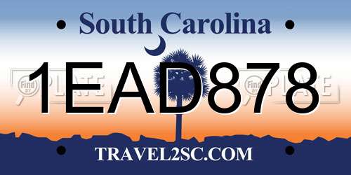 1EAD878 South Carolina License Plate
