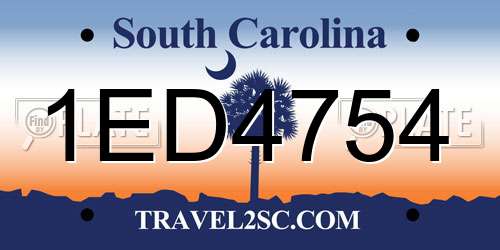 1ED4754 South Carolina License Plate
