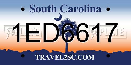1ED6617 South Carolina License Plate