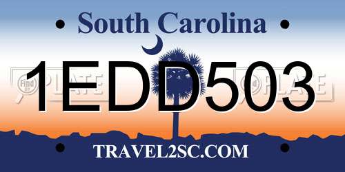 1EDD503 South Carolina License Plate