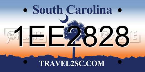 1EE2828 South Carolina License Plate