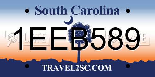 1EEB589 South Carolina License Plate