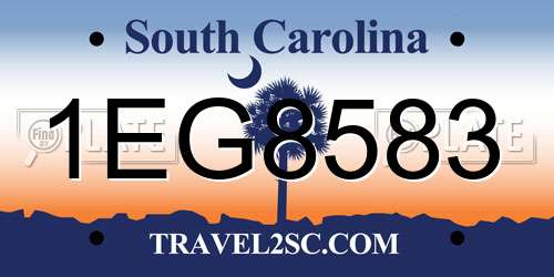 1EG8583 South Carolina License Plate