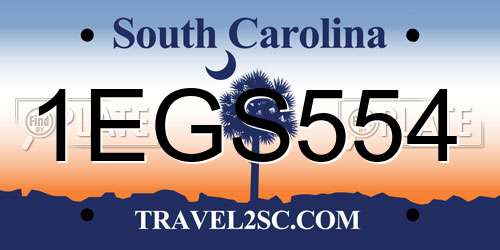 1EGS554 South Carolina License Plate