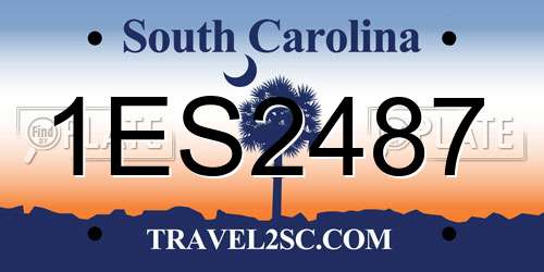 1ES2487 South Carolina License Plate