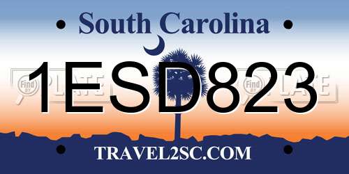 1ESD823 South Carolina License Plate
