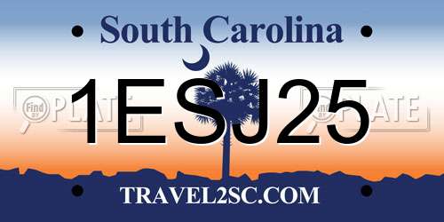 1ESJ25 South Carolina License Plate