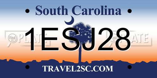 1ESJ28 South Carolina License Plate