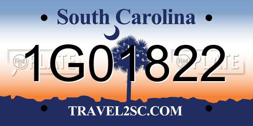 1G01822 South Carolina License Plate