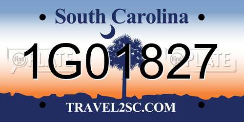 1G01827 South Carolina License Plate