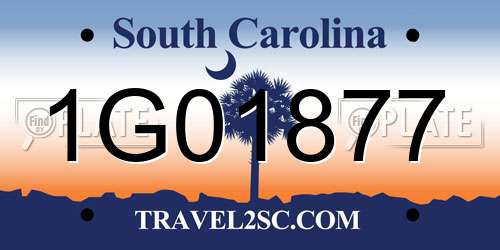 1G01877 South Carolina License Plate