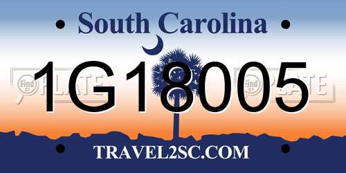 1G18005 South Carolina License Plate