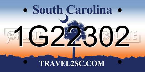 1G22302 South Carolina License Plate