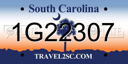 1G22307 South Carolina License Plate