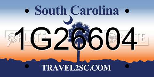 1G26604 South Carolina License Plate