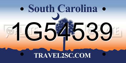1G54539 South Carolina License Plate