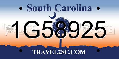 1G58925 South Carolina License Plate