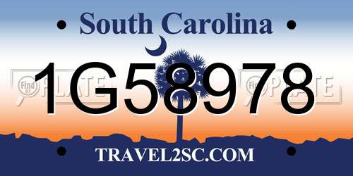 1G58978 South Carolina License Plate