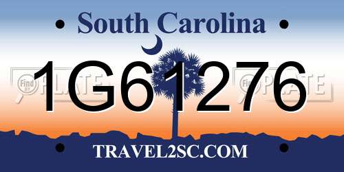 1G61276 South Carolina License Plate