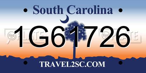 1G61726 South Carolina License Plate